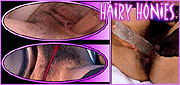 Hairy Honies Videos